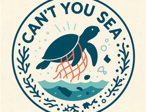 Can’t You SEA? – Gemeinsam für den Meeresschutz